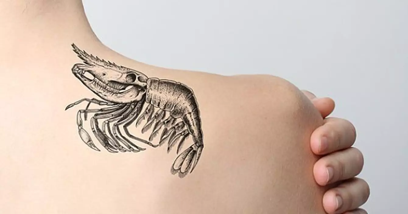 818748515428599215_49fbe8f617b4