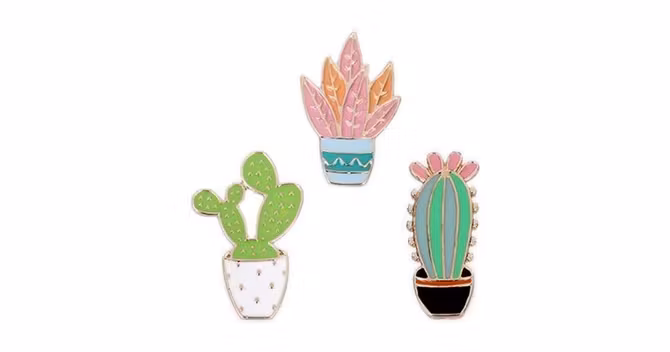 pins-cactus