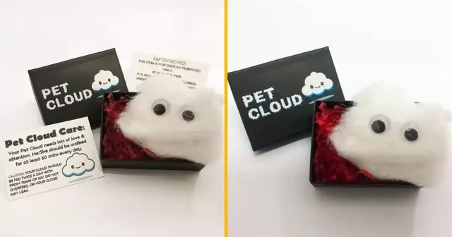 animal-compagnie-nuage-potes