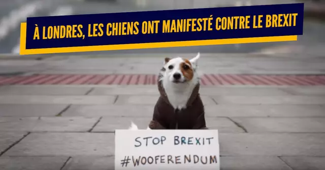 une_manifs_originales