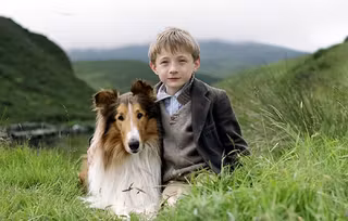 lassie