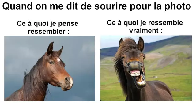 top memes ressemble vraiment