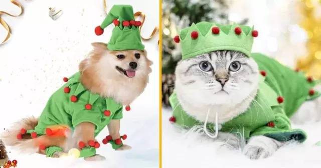 costume-lutin-chien-chat