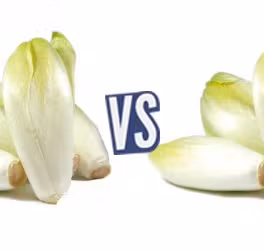 battle-349969-1421321107