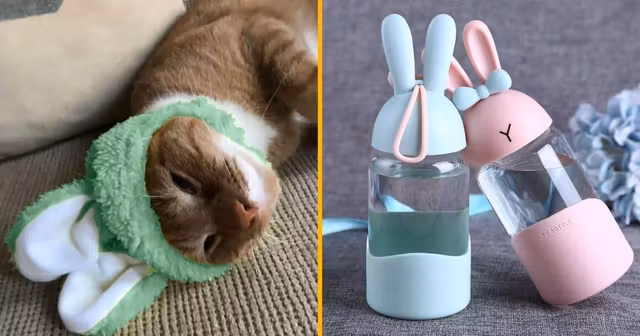 top-cadeaux-pour-les-fans-de-lapins