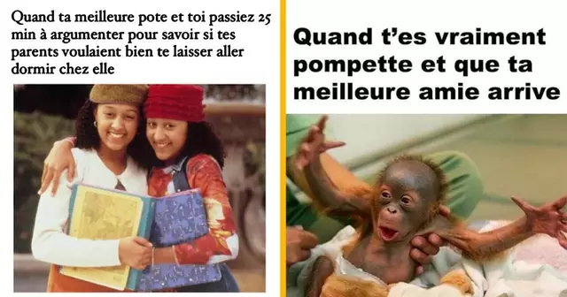 top memes meilleur ami