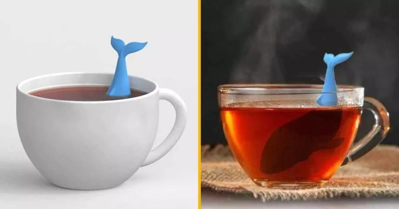 infuseur the baleine