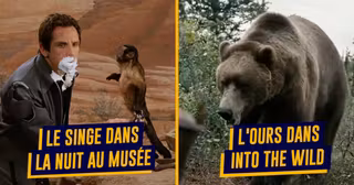 une-top-animaux-acteurs-2