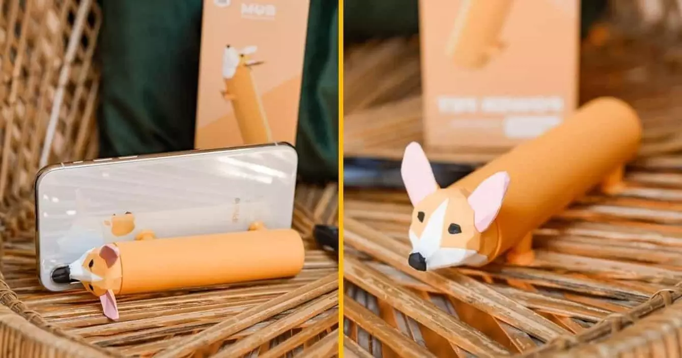 batterie-externe-corgy