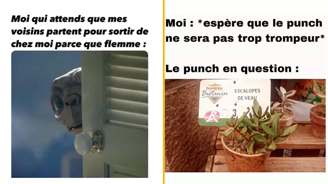 memesemaine68