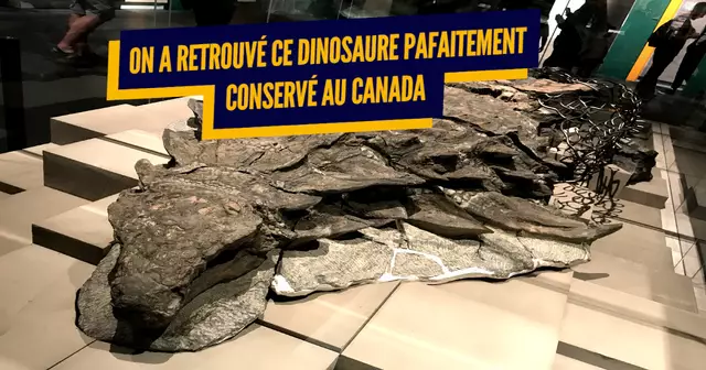 une_decouvertes_archeologiques