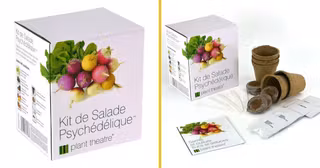kit-faire-pousser-salade-psychedelique