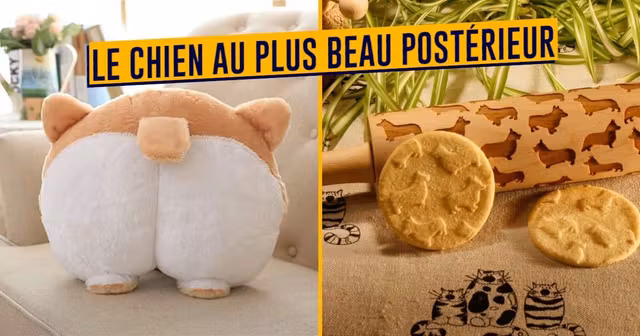 TOP_SHOPPING_CADEAUX_CORGI