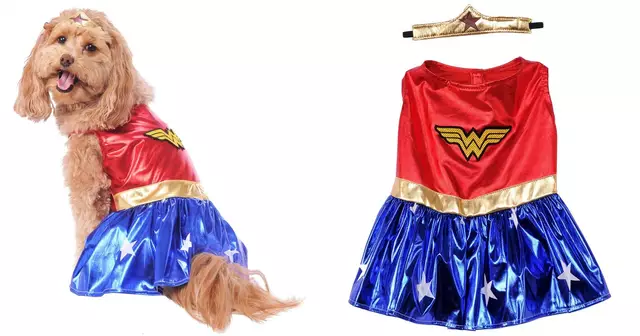 chien-deguisement-wonder-women