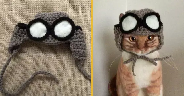 bonnet-aviateur-pour-chat