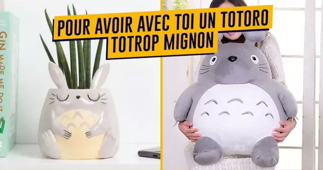 UNE_SHOPPING_TOTORO