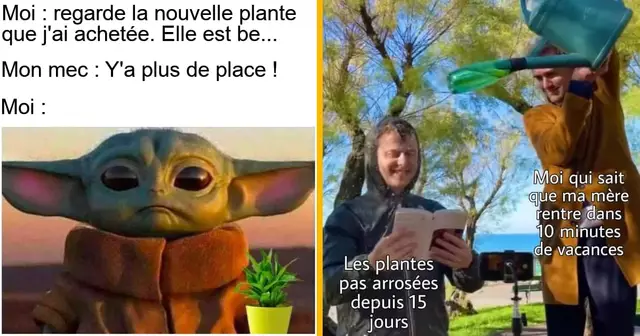 top memes plantes 2