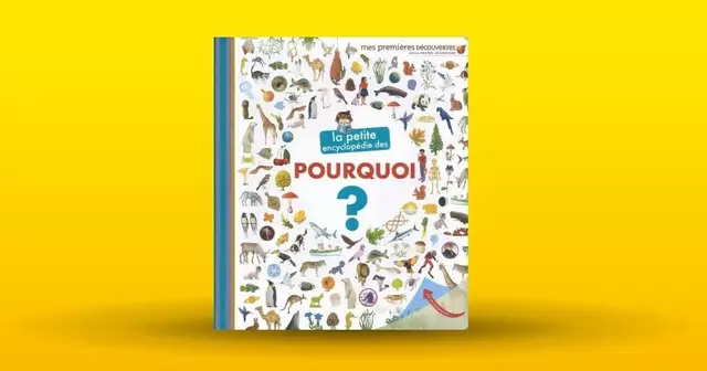 livre-petite-encyclopedie-pourquoi-enfant