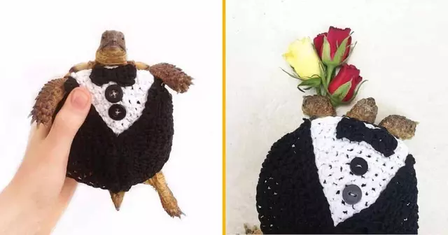 costume-tortue-smoking