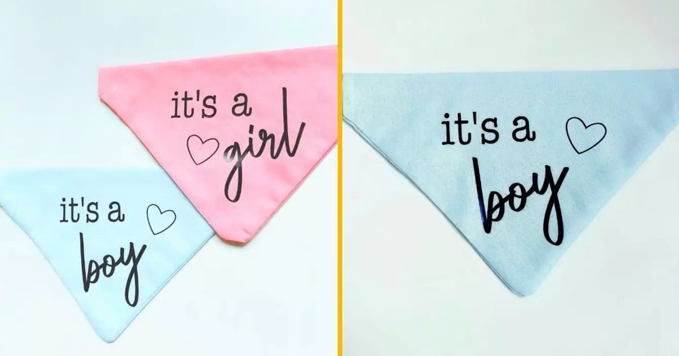 bandana-pour-chien-gender-reveal