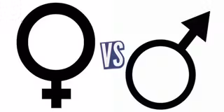 battle-365666-1427155906