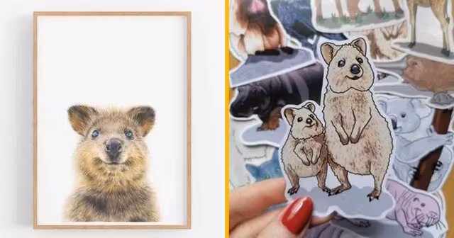 UNE_SHOPPING_CADEAU_ANIMAL_QUOKKA