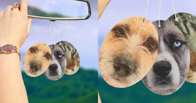 desodorisant-perso-animal