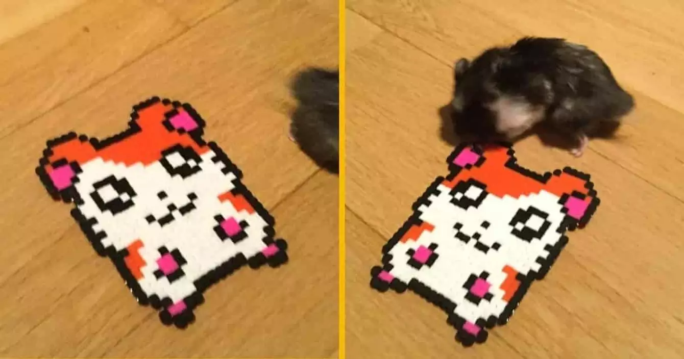 petit-hamtaro-pixels