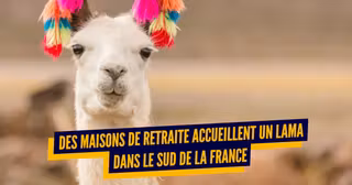 TOP MAISONS RETRAITE