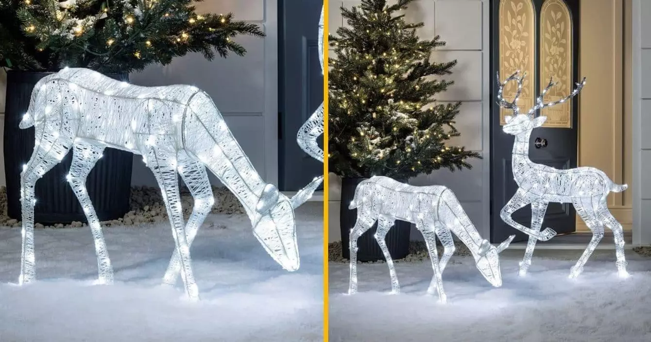 rennes-lumineux-jardin-feerique