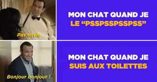 UNE_TOP_OSS_CHAT_MEME
