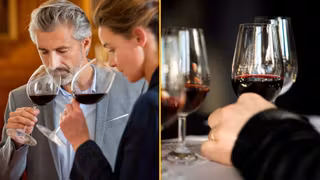 COURS-OENOLOGIE-RUE-DES-VIGNERONS