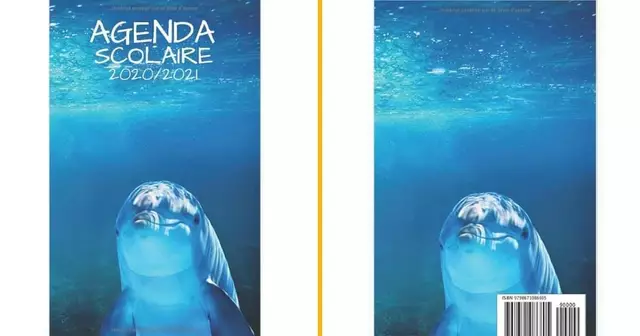 un-cahier-de-texte-dauphin