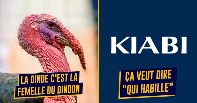 top trucs appris tard