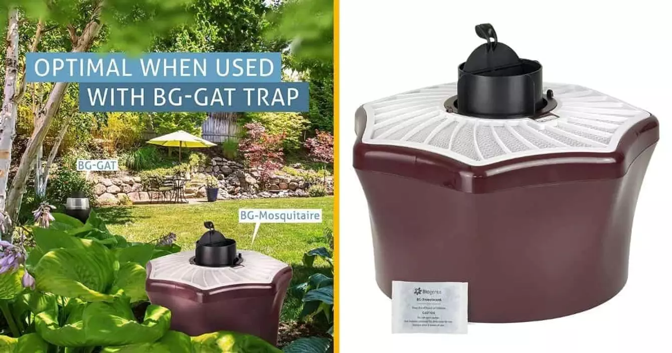 piege emprisonner moustique tigre