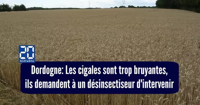 une campagne