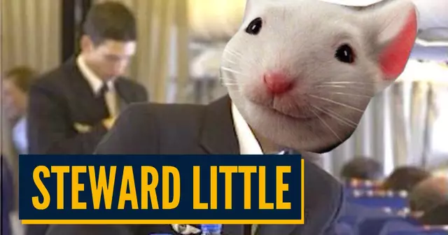 PicMonkey Image444444