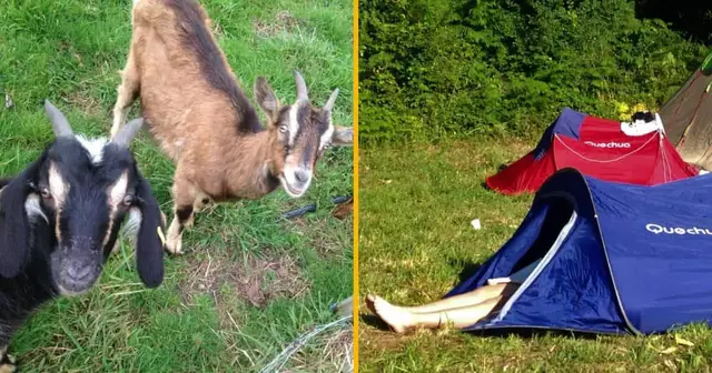 hebergement-insolite-bretagne-ferme