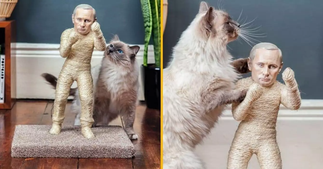 grattoir-chat-vladimir-poutine