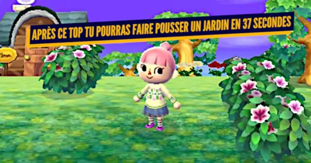 UNE_TOP_ASTUCES_ANIMAL_CROSSING