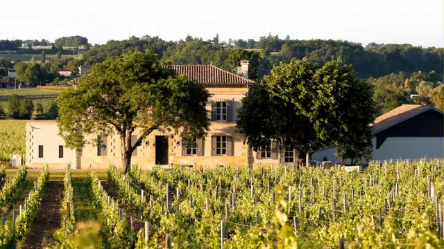 EXPEIRENCES-OENOLOGIQUES-RUE-DES-VIGNERONS