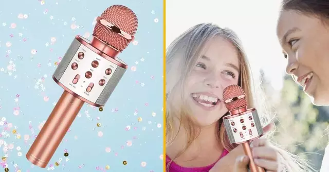 micro-karaoke-sans-fil