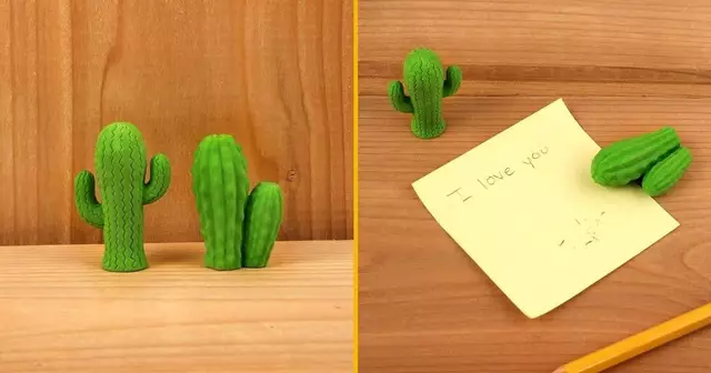une-gomme-cactus