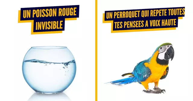 top animaux magiques nuls