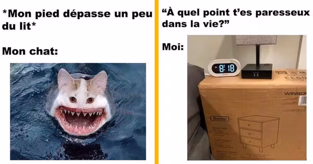 top memes conneriesqc