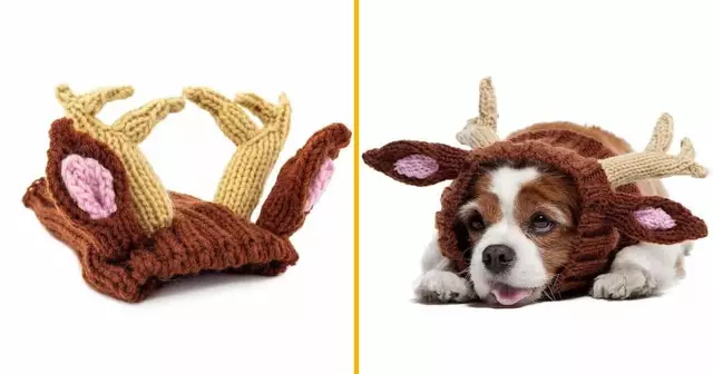 tricot-pour-chien-bonnet-renne