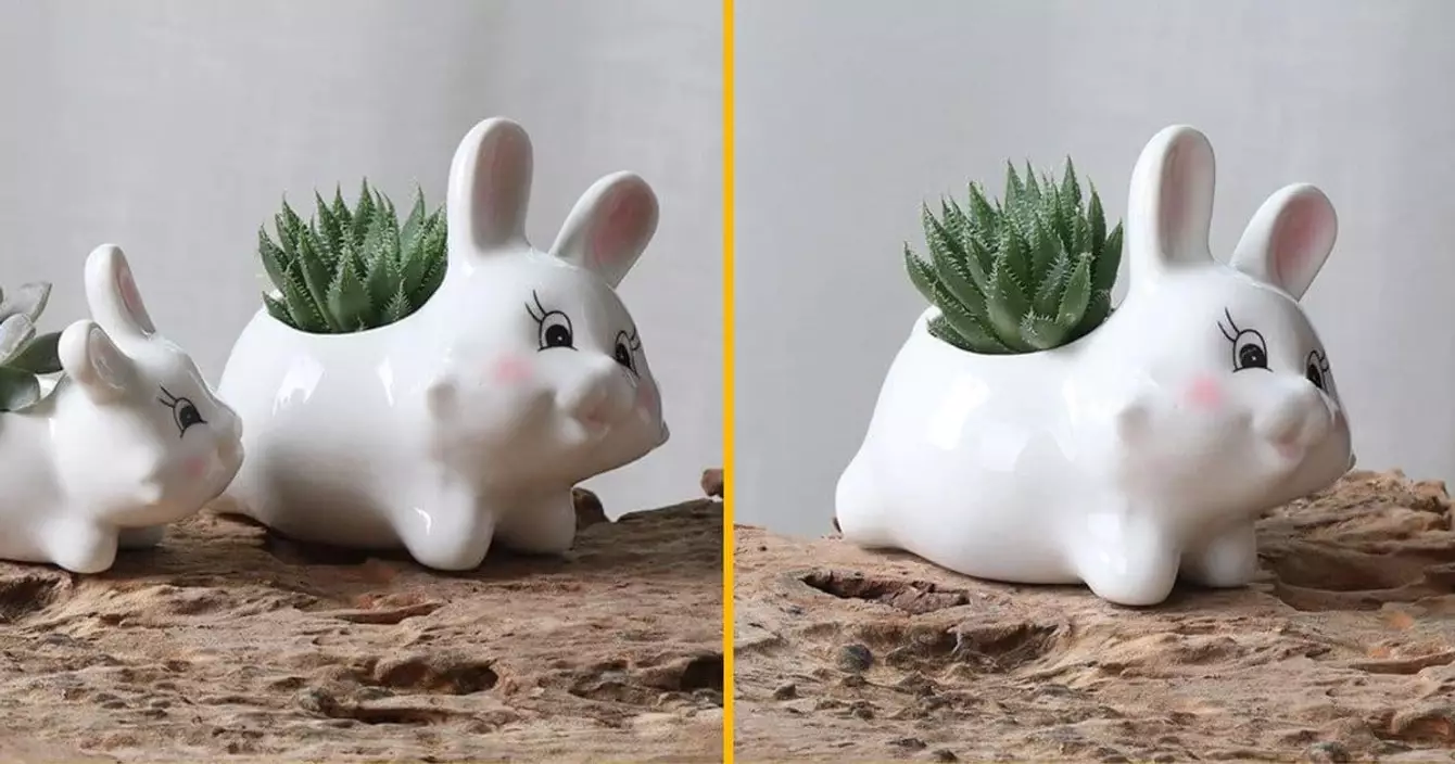 pot-lapin-minimaliste