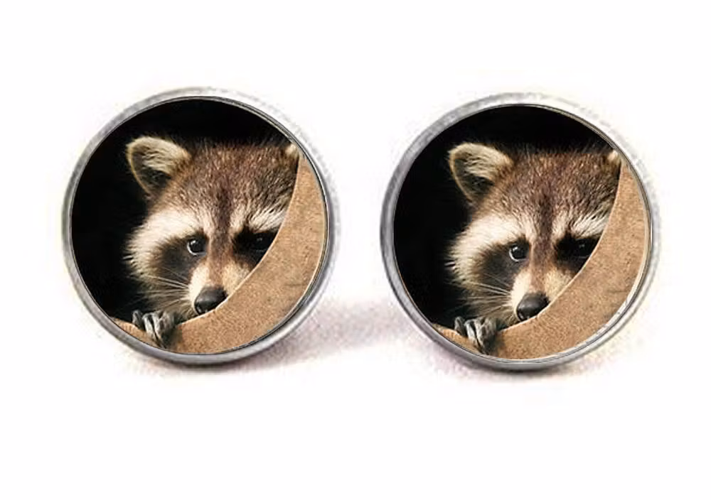 boucles-oreilles-raton-laveur