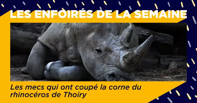 TEMPLATE-ENFOIRES-DE-LA-SEMAINE_1