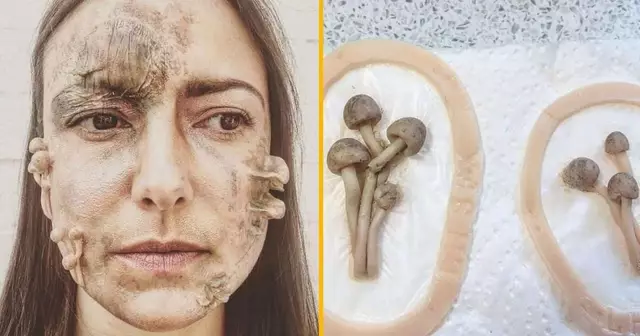 faux-champignons-coller-visage